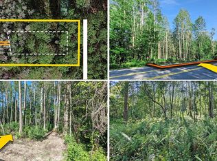 Vacant Land Sr #33-LOT 4003, Clermont, FL 34714