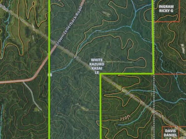 Crown Zellerback Rd, Lumberton, MS 39455