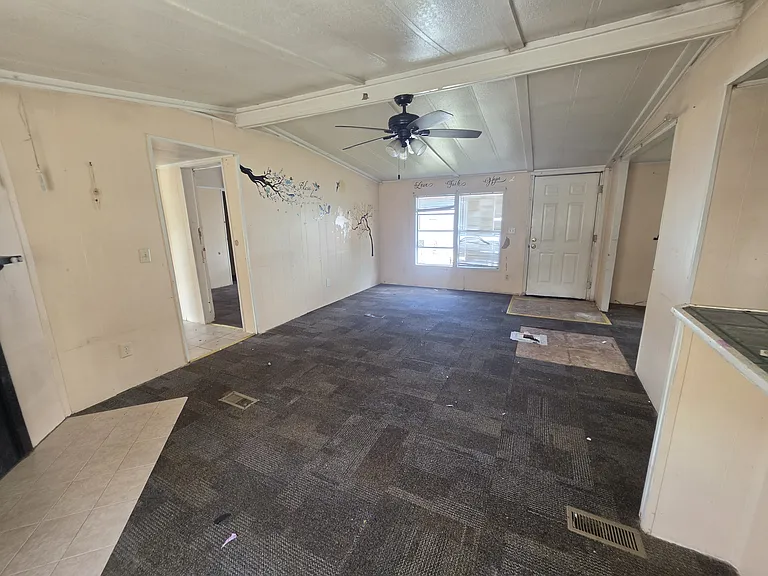 Swan Lake - Rent to Own — Photo 118
