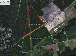 0 Allen West Side Of Rd, Eden, MD 21822