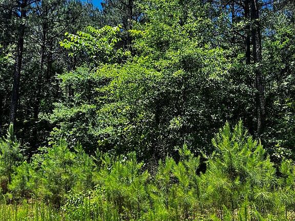 3rd image of 83 Pleasant Cypress Trl Lot 4