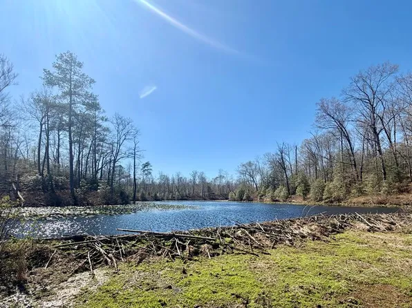17 Bull Neck Rd, Caret, VA 22436