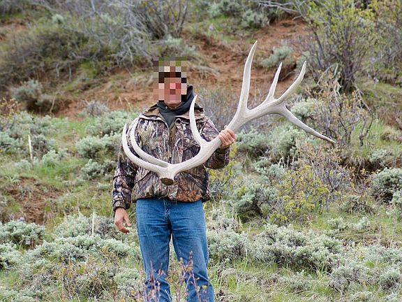 Bull Mountain Cattle Company 5 Of 71