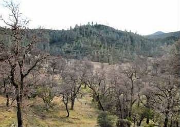 5th image of 5302 State Highway 36 W