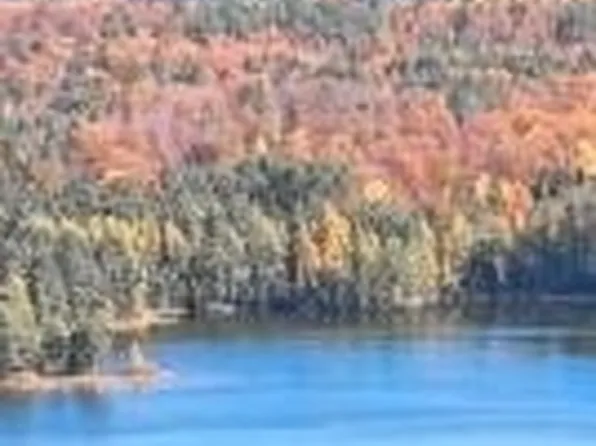 6336 E Snipe Lake Rd, Eagle River, WI 54521