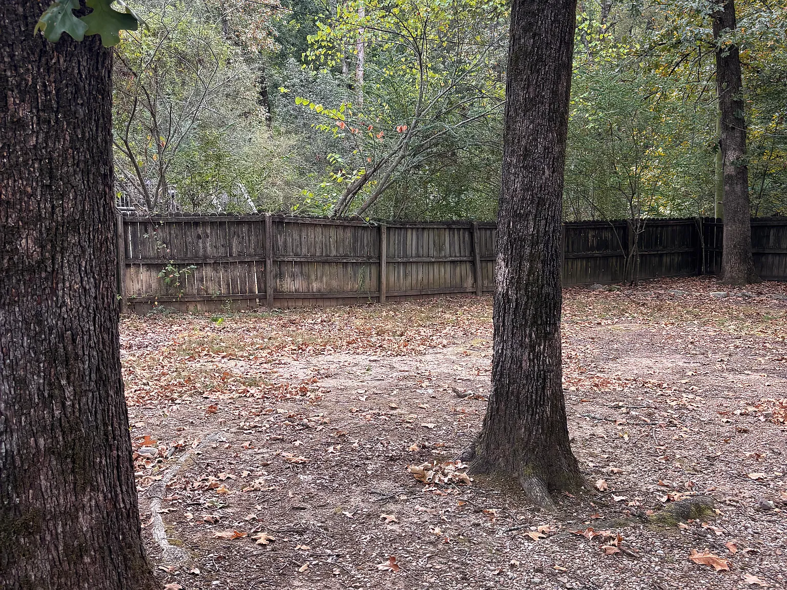 1005 Parkway Place Dr — Photo 4