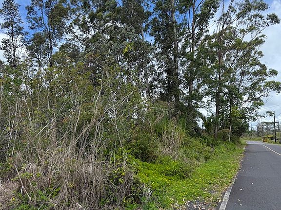 3rd image of 16-2048 Hibiscus Dr Lot 12