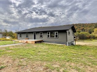 3979 Bucktooth Run Rd, Little Valley, NY 14755