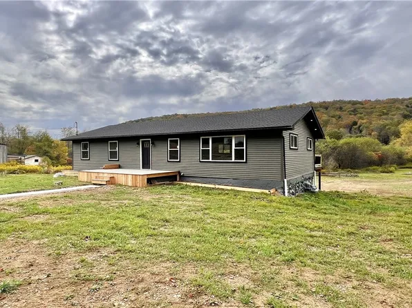 3979 Bucktooth Run Rd, Little Valley, NY 14755