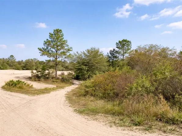 0 Coral Rock Dr Lot 17, Webster, FL 33597