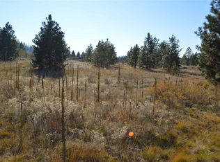 30340 Antler Rd, Deer Meadows, WA 99122