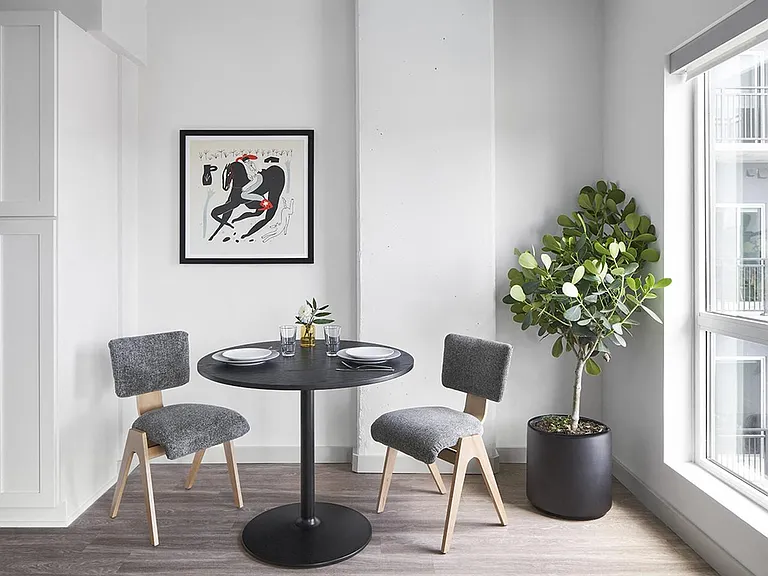 Designer-Furnished Studio Apartment Suite