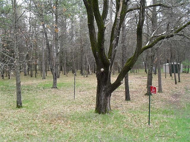 1st image of 362 Knights Shield Way