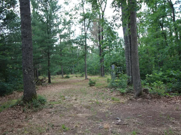 281 W Lexington Ave, Baldwin, MI 49304