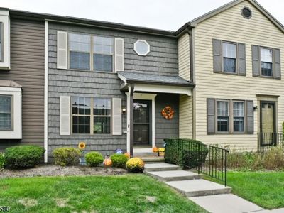 7 Great Horned Owl Ct, Hackettstown, NJ, 07840