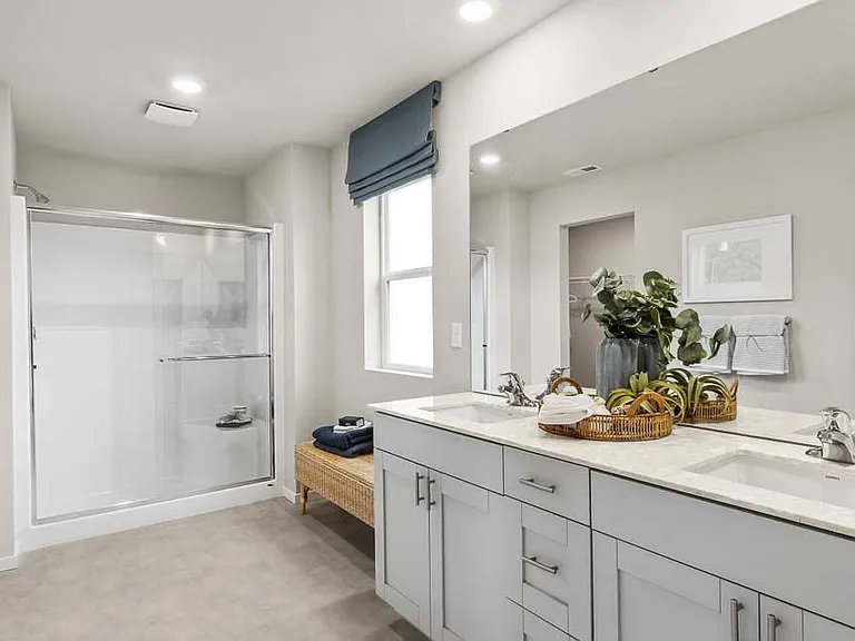 Master bathroom with walk-in closet and walk-in shower.