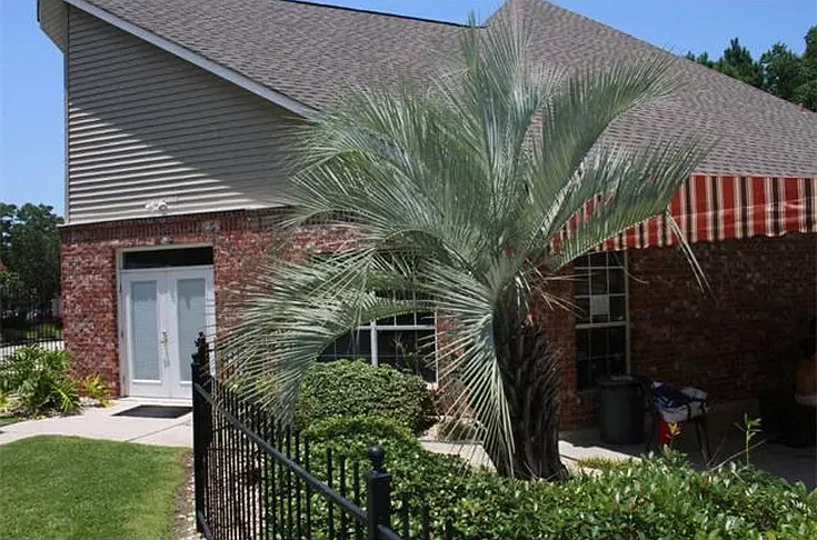 517 Spartan Dr — Photo 3