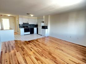 1418 W Porter St, Philadelphia, PA