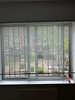 Rented by Owner | media 7