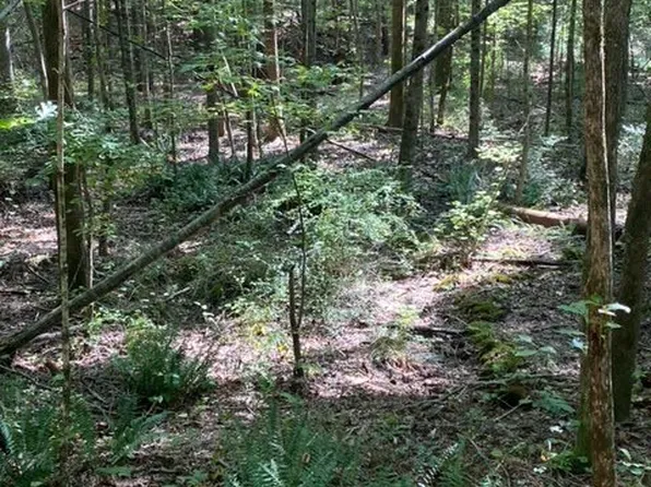 0 Wigdon Rd Lot 1, Opelika, AL 36801