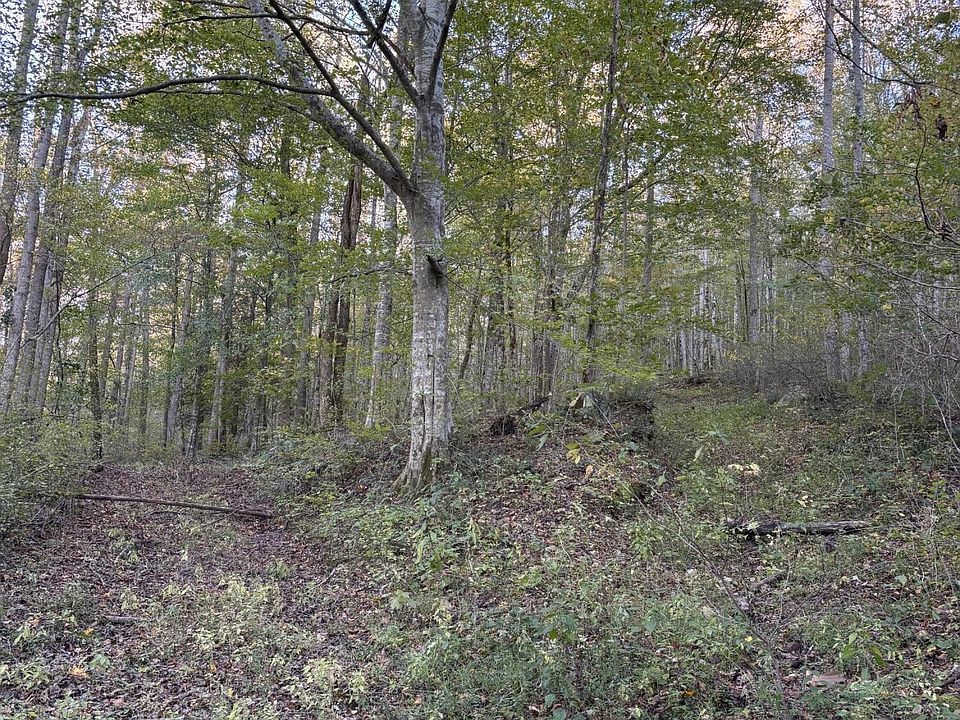 1st image of 0 Calfkiller Hwy