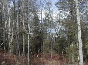 2nd image of 54 Trillium Ctr