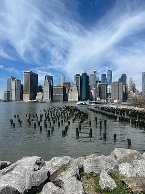 Rented by Nest Seekers International | media 7