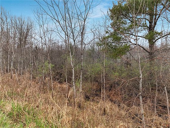 5th image of Lot 1 11th Avenue