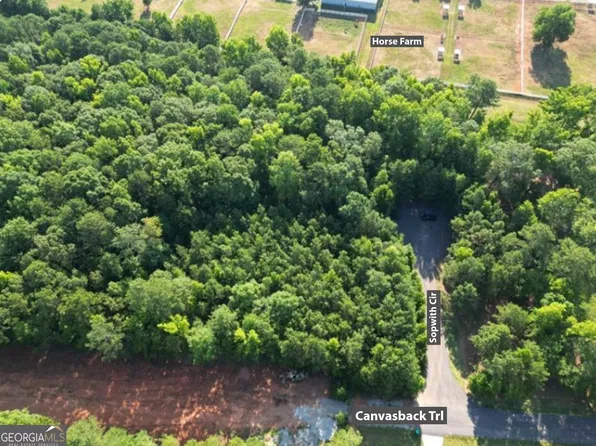 369 Canvasback Trl #147, Locust Grove, GA 30248