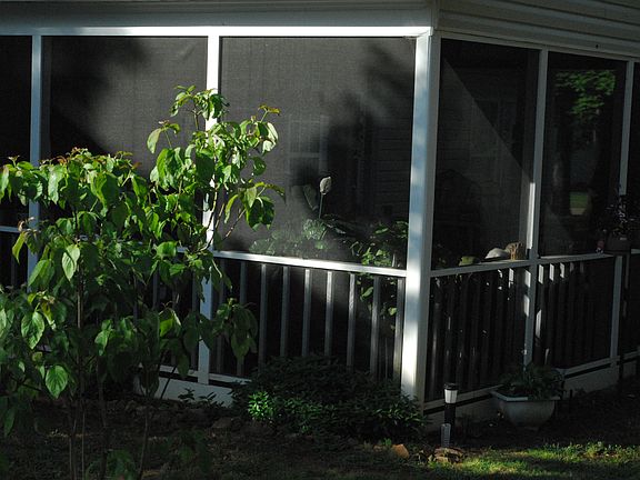 3rd image of 42 Rainwater Ct