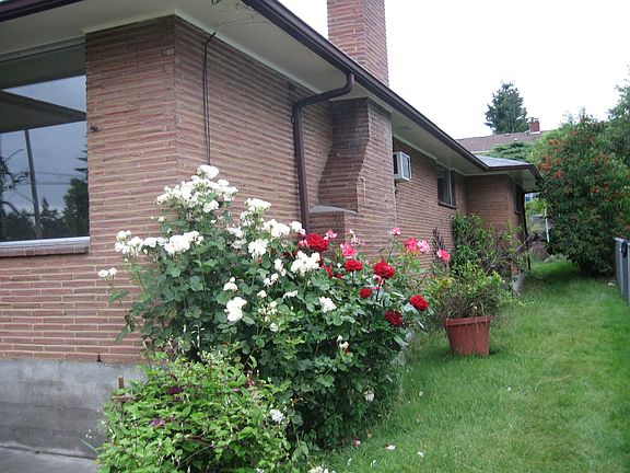 side yard