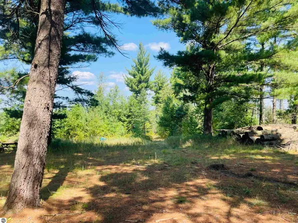 E 10 1/2 Rd, Manton, MI 49663