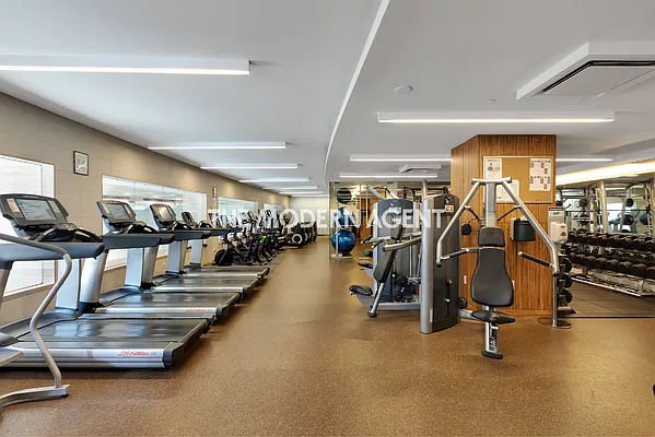 Rented by Level Group | media 16