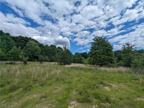 Wolf Run Rd SE, Bloomingdale, OH 43910