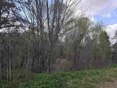 3758 Mountain Terrace St E, Memphis, TN, 38127