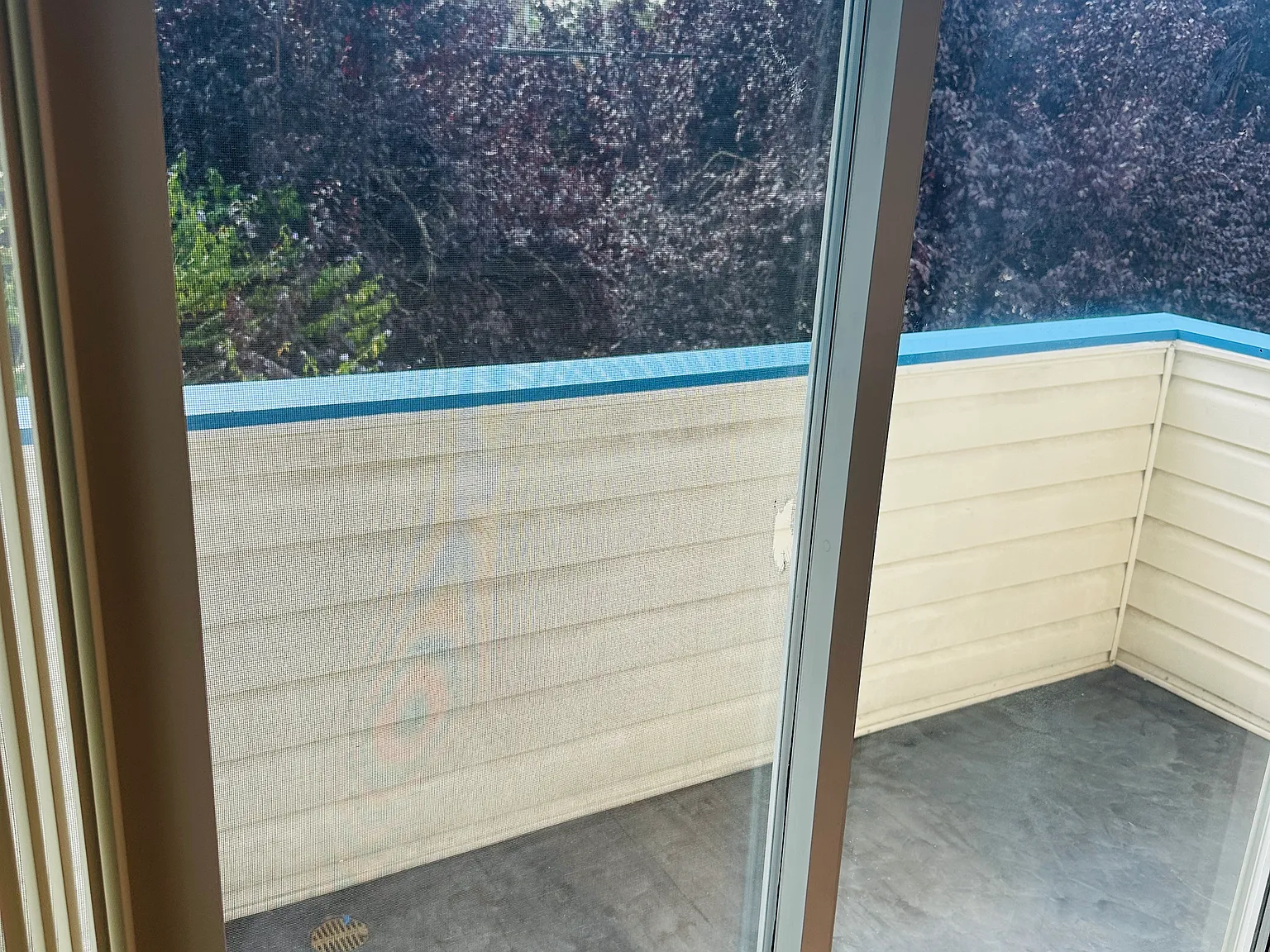 1 bed, 796 sqft, $1,850 — Photo 4
