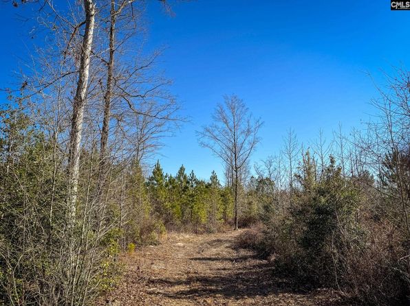 0 Palomino Rd LOT 9, Leesville, SC 29070