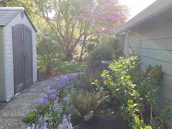 Backyard Shed