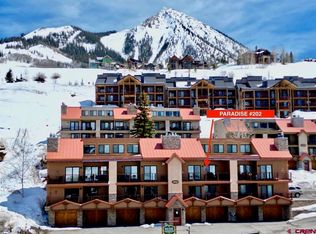 20 Hunter Hill Rd #202, Crested Butte, CO 81225