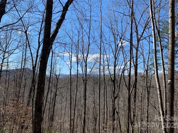171 Woodchuck Ln N #118 & 119, Marion, NC 28752