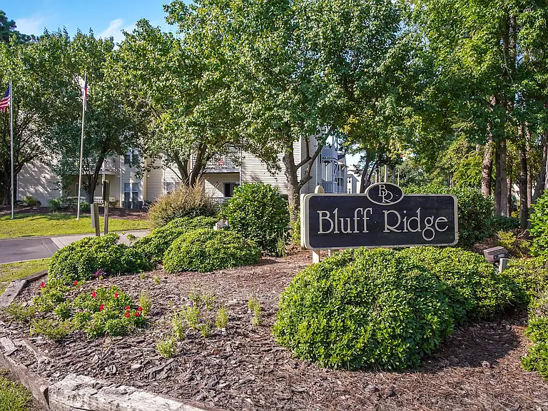Bluff Ridge — Photo 23