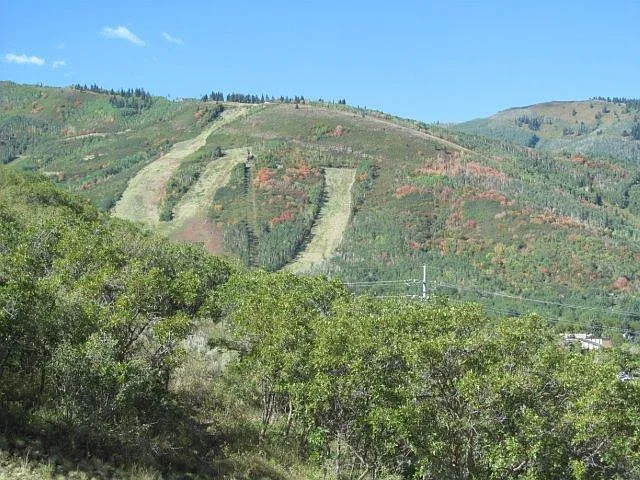 1640 Upper Ironhorse Loop — Photo 3