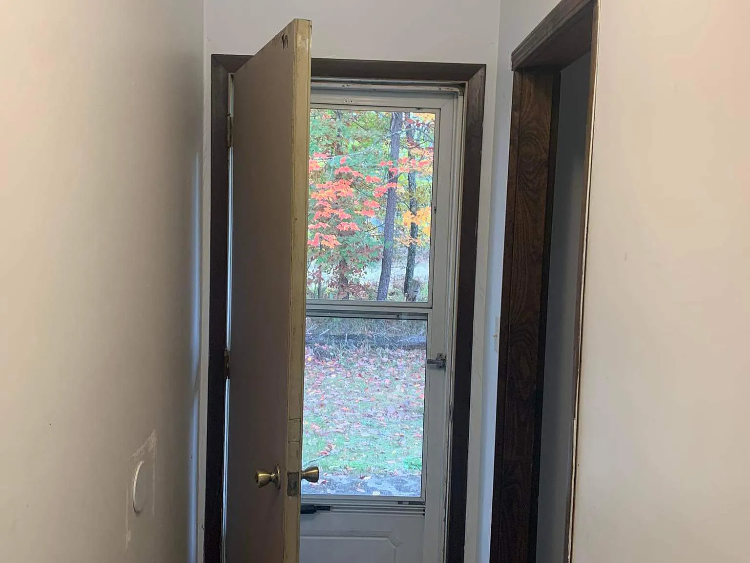 2 bed, 830 sqft, $1,100 — Photo 3