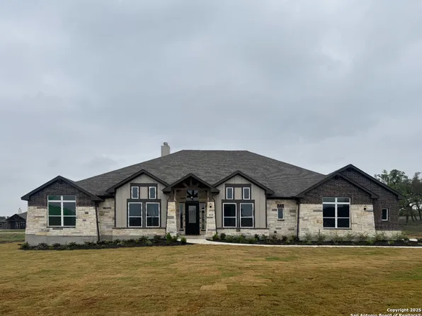 1129 Cape May Warbler, New Braunfels, TX 78132