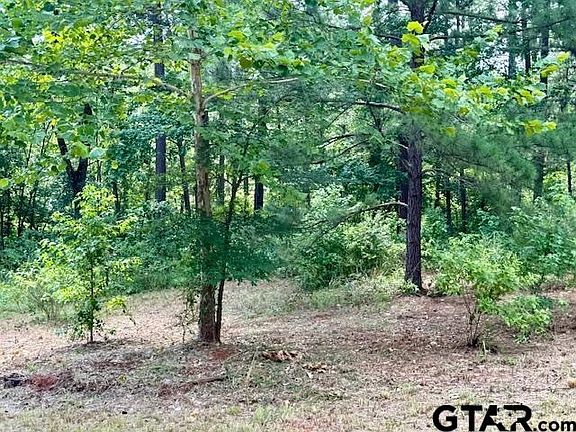 5th image of 16203 County Road 436
