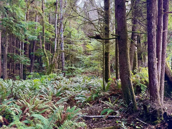 0 Copalis Beach Road, Copalis Beach, WA 98535