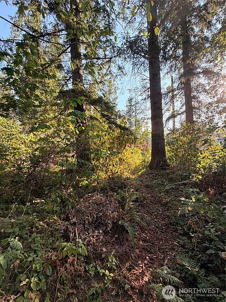 4th image of 15620 Goldbar Drive