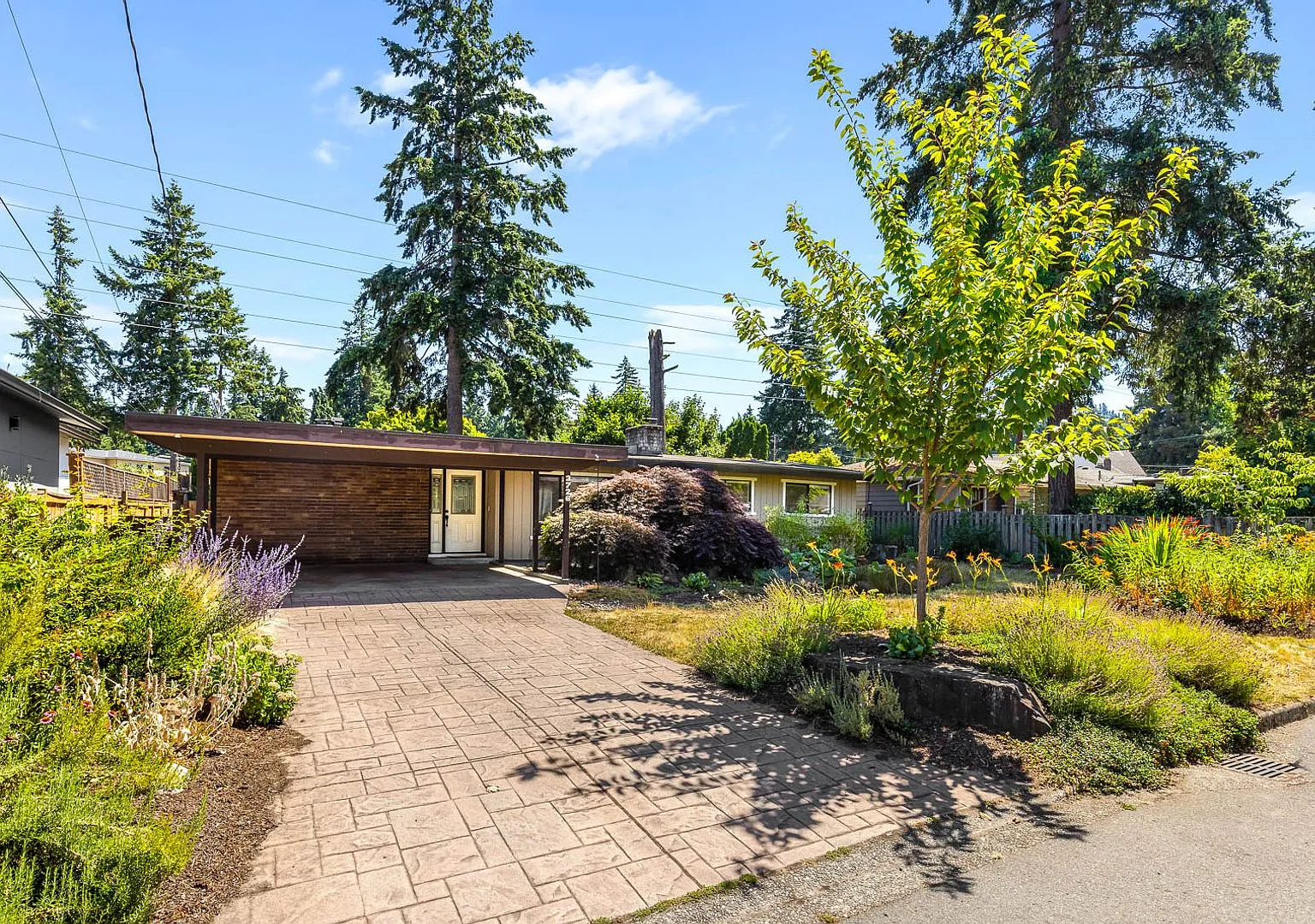 One-of-a-Kind Mid-Century Modern 4 Bedroom Retreat with Dream Backyard — Photo 2