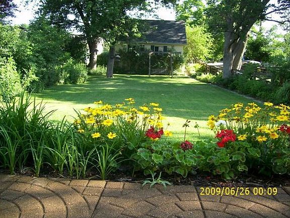 Backyard filled with flowers