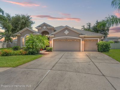 3331 Stonegate Falls Dr, Land O Lakes, FL, 34638
